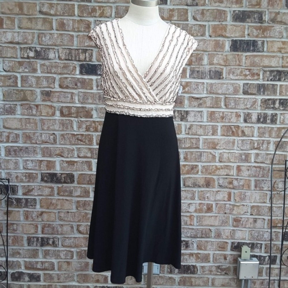 NWT Adrianna Papell sleeveless dress sz 8